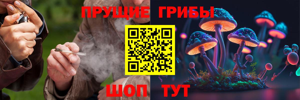 Псилоцибиновые грибы мухоморы  даркнет сайт  Урюпинск  Вход с VPN 